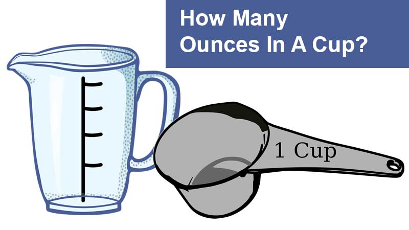 ounces in a cup